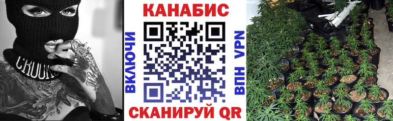Где можно купить наркотики Суздаль Каннабис МЕФ КОКАИН LSD-25 ГАШ СОЛЬ