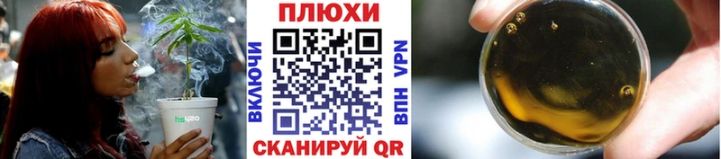 omg tor  Суздаль  ГАШ индика сатива 