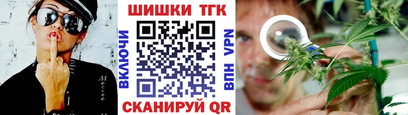 Шишки марихуана сатива  Суздаль 